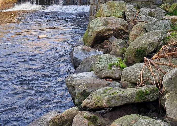 A By A Weir With A View Of Rozmberk Castle *